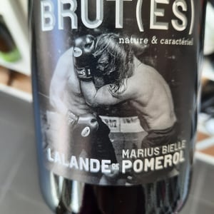 Brut(es) - Marius Bielle - Damien Bielle -2020