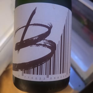 Bugey Cerdon - Domaine Philippe Balivet - cecile-vincent-balivet -2024