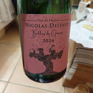 Bulles de Gamay - Domaine Nicolas Delfaud - nicolas-delfaud -2023