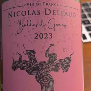 Bulles de Gamay - Domaine Nicolas Delfaud - Nicolas Delfaud -2023