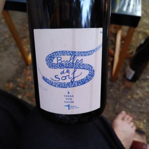 Bulles de soif - Terra Vita Vinum - benedicte-luc-briand