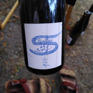 Bulles de soif - Terra Vita Vinum - benedicte-luc-briand