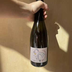 Bulleversant - Distillerie et Domaine Cazottes - Laurent Cazottes 