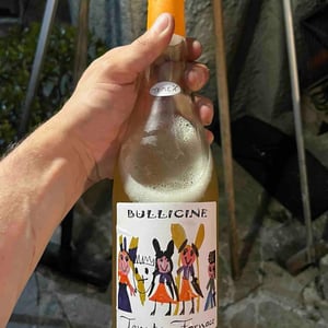 Bullicine - Tenuta Fornace - andrea-rossi -2022