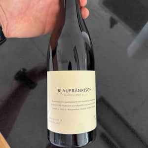 Burgenland - Weingut Rosi Schuster - hannes-schuster