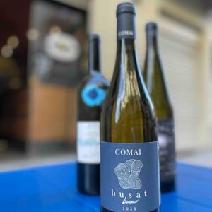 Busat bianco - Az. Agricola Comai - Andrea Comai -2023