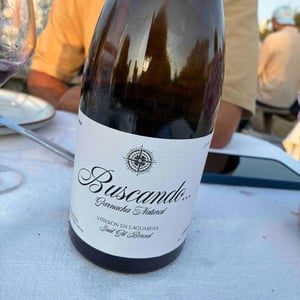 Buscando 2019 2019 - Bodega Gil Berzal - jose-luis-gil -2021
