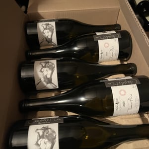 Butteaux - Domaine Pattes Loup - Thomas Pico 