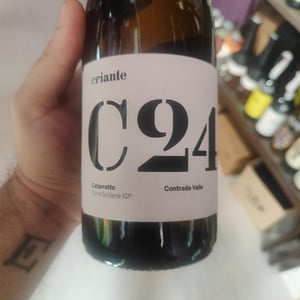 C24 - Criante - irene-davide -2024