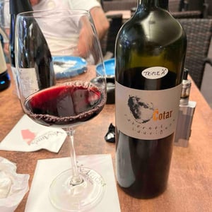 Cabernet Sauvignon - Čotar - branko-vasja-cotar
