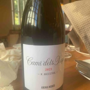 Cami Dels Xops (Espumoso) - Anima Mundi - Agustí Torelló Roca 