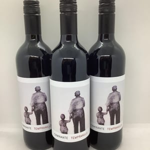 CAMINANTE ALBIZU - ALBIZU BODEGA - JESÚS BLANCO 