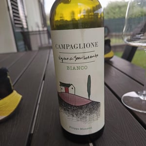Campaglione Bianco - Vigne di San Lorenzo - Filippo Manetti 
