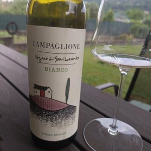 Campaglione Bianco - Vigne di San Lorenzo - Filippo Manetti 