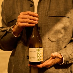Camporengo - Le Fraghe - Matilde Poggi 
