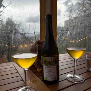 Canna Torta - Podere Le Ripi - Sebastian Nasello