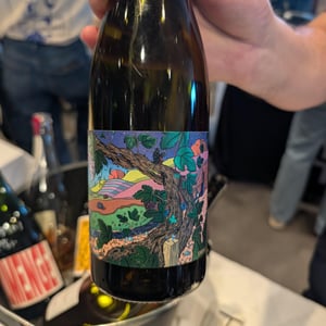 Canopée - Domaine De L’Enviegne - alexis-tondeur