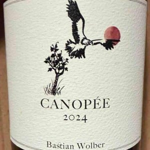 Canopée - Laisse Tomber - Bastian Wolber -2023