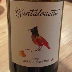 Cantalouette - Chateau Tour Des Gendres - Guillaume de Conti -2021