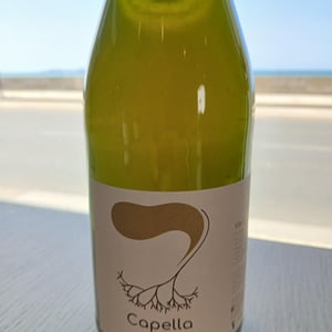 Capella - Le Petit Domaine d'Echiat - serge-gayet -2024