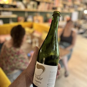 Capella - Le Petit Domaine d'Echiat - Serge Gayet -2024