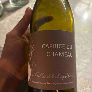 Caprice du Chameau - La Vrille et le Papillon - geraldine-meryl-croizier