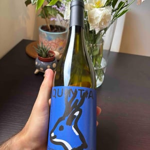 Carmenere - Azienda vitivinivola Quintia - Azienda vitivinivola Quintia -2018