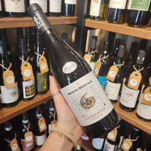 Carmenere - Az. Agricola Monte Brècale - Monte Brecale -2019