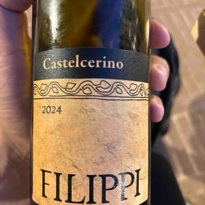 Castelcerino - Visco & Filippi Azienda Agricola - Filippo Filippi