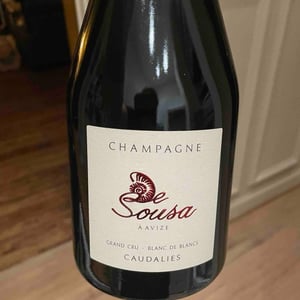 Caudalies - Champagne De Sousa - erick-de-sousa -2013