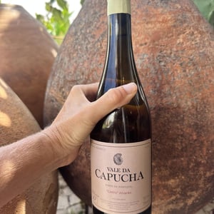 Cedro Alvarão - Vale da Capucha - Pedro Marques -2018