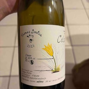 Celsiane - Thomas Boutin - Thomas Boutin