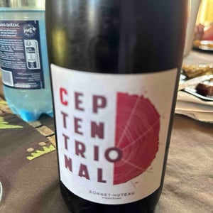 Ceptentrional - Domaine Bonnet-Huteau - Jean-Jacques Bonnet & Vincent Pineau -2021