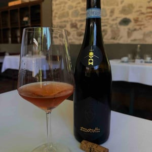 Cerasuolo d’Abruzzo - Amorotti - gaetano-carboni