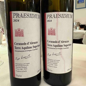 Cerasuolo d’Abruzzo Superiore DOC - Praesidium - Enzo, Lucia, Antonia et Ottaviano Pasquale