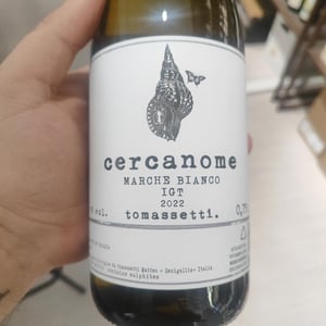 Cercanome - Tomassetti - matteo-andrea-tomassetti 