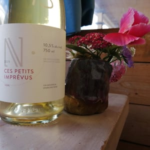 Ces petits imprévus - Domaine Du Nival - Denis & Mathieu Beauchemin 