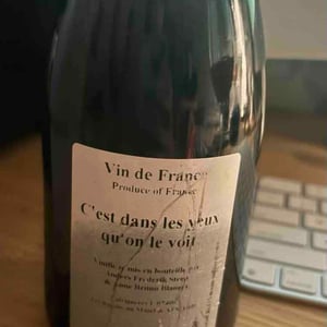 C’est dans les yeux qu’on le voit - Anders Frederik Steen & Anne Bruun Blauert - Anders Frederik Steen & Anne Bruun Blauert -2019