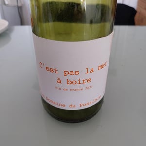 C'est pas la mer à boire - Domaine du Possible - Loïc Roure 