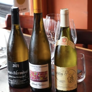 Chablis - Domaine Tribut - Domaine Tribut -2024