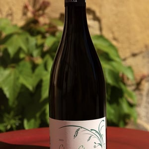 Cham Cham - Mas De Valeriole - Famille Michel -2017