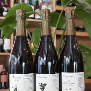 Champagne Emmanuel Brochet "Les Hautes Vignes" Extra Brut - Emmanuel Brochet - emmanuel-brochet -2017