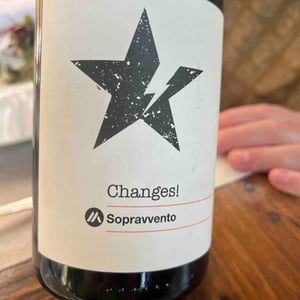 Changes - Sopravvento - Michele & Matteo Melfa 