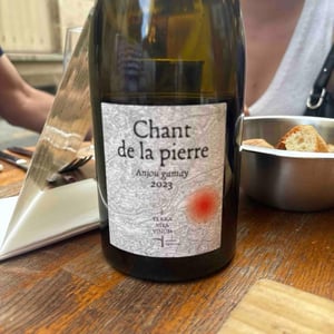Chant de la pierre - Terra Vita Vinum - Bénédicte & Luc Briand -2023
