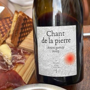 Chant de la pierre - Terra Vita Vinum - Bénédicte & Luc Briand -2023