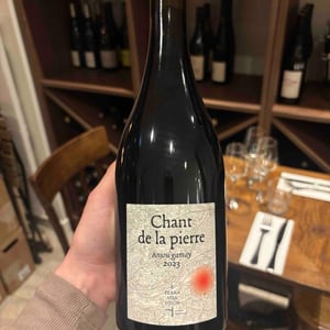Chant de la pierre - Terra Vita Vinum - Bénédicte & Luc Briand -2023