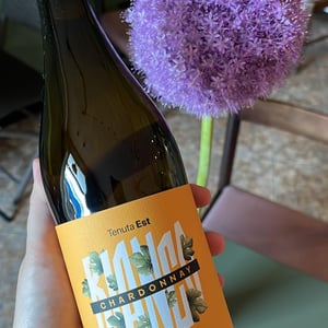 Chardonnay - Tenuta Est - Tenuta Est -2024