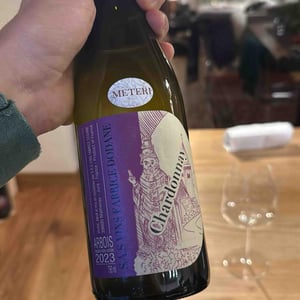 Chardonnay - Domaine de Saint Pierre - Fabrice Dodane -2023