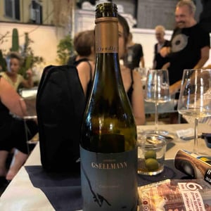 Chardonnay Exempel - Weingut Andreas Gsellmann - Andreas Gsellmann -2017