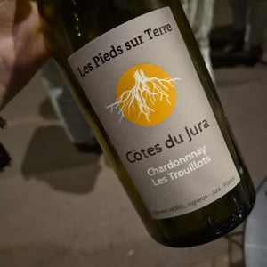 Chardonnay Les Trouillots - Les Pieds Sur Terre - valentin-morel